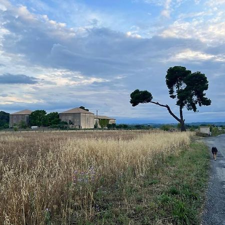 Charming Village House With Roof Top Terrace! Thezan-les-Beziers Ngoại thất bức ảnh